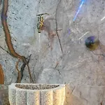 Passadicos & Jacuzzi - * Arouca