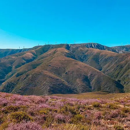 Arouca Passadicos Alojamento & Jacuzzi - Spa Σπίτι διακοπών *