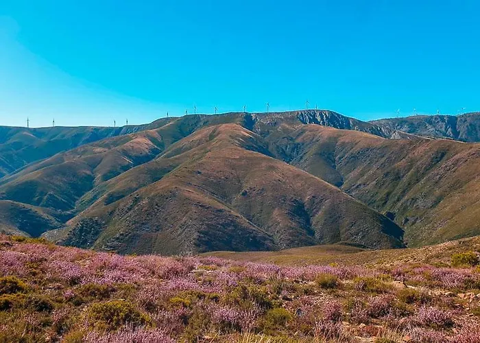 Passadicos & Jacuzzi - Semesterbostad *